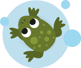 frog